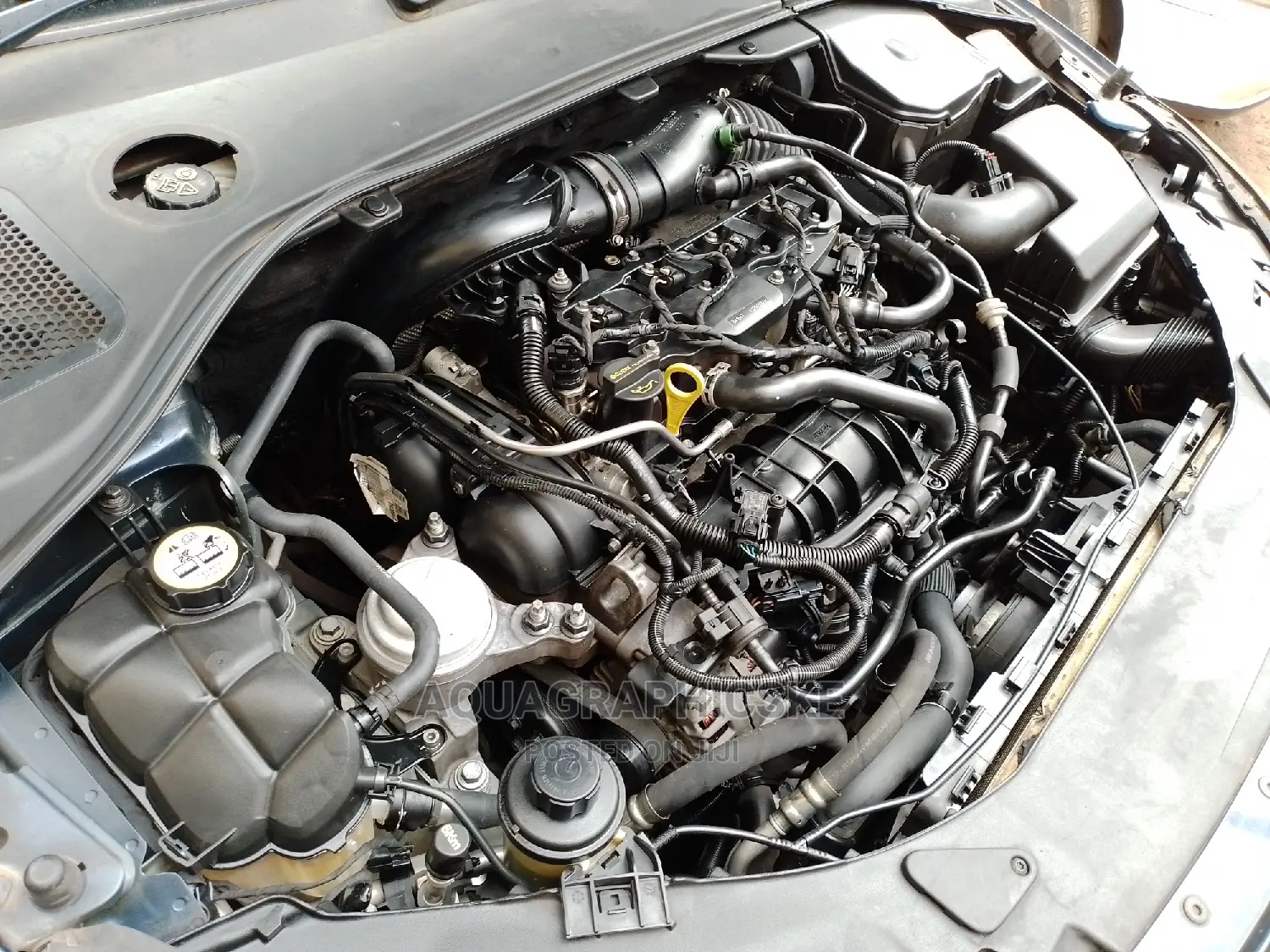 Engine Steam Wash/Detailing