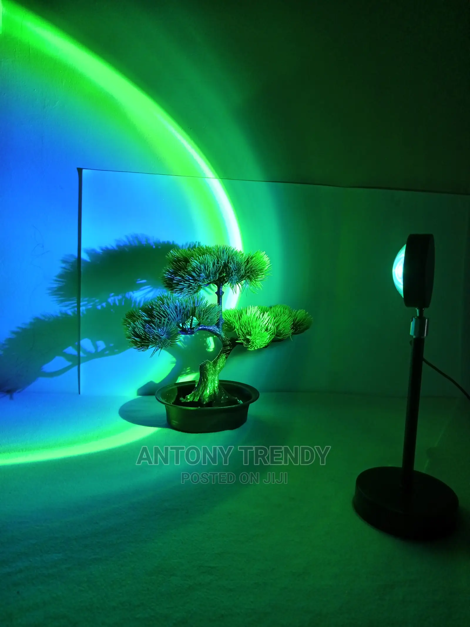 Projection Led Light, Sunset Light