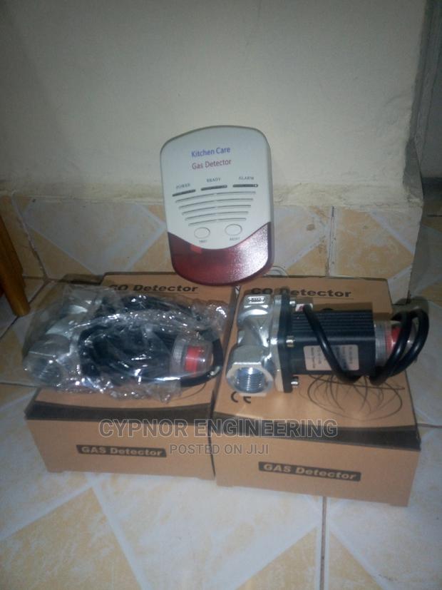 Gas and CO Leak Alarm - main view