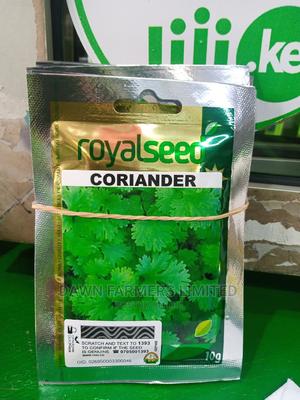 Coriander 10gm Royal - main view