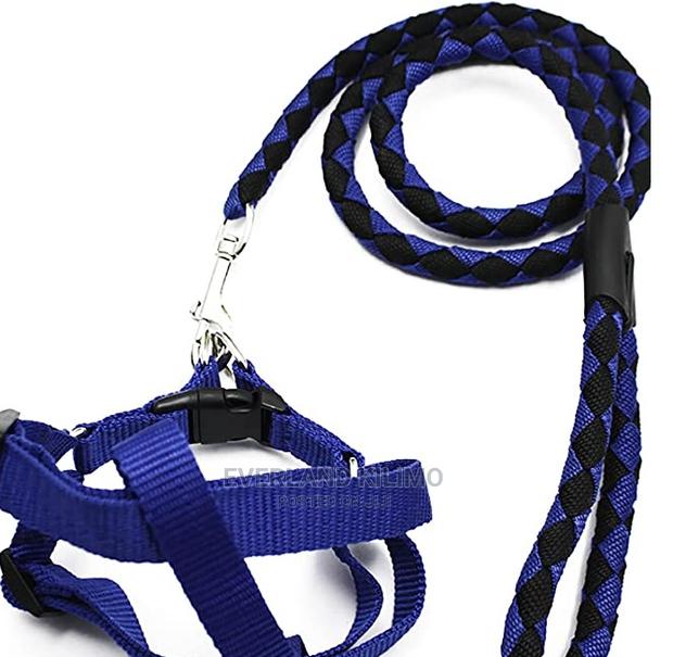 Woven Leash and Harness-Large - main view