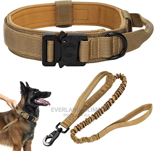Tactical Dog Collar and Leash - main view