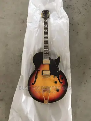 Semi Hollow Electric Guitar