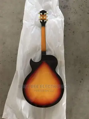 Semi Hollow Electric Guitar