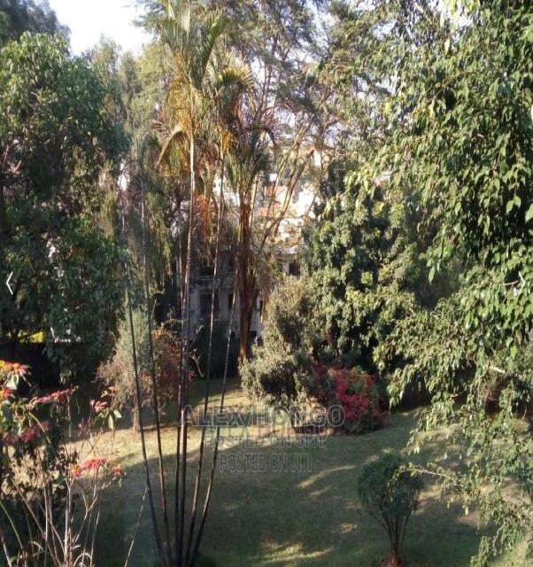 Quiet Comfortable Studio With Mature Garden View