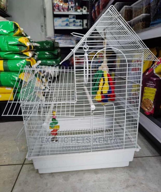 Bird Cages Medium Size Available - main view