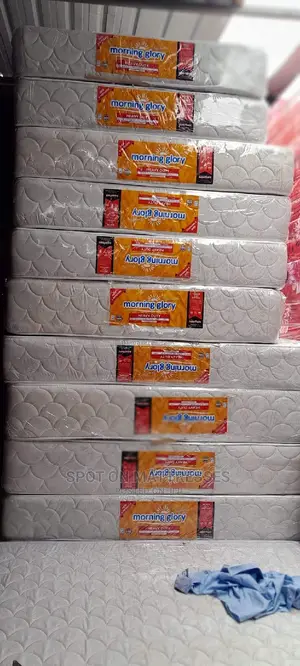 5by6 10inch Heavy Duty Mattresses
