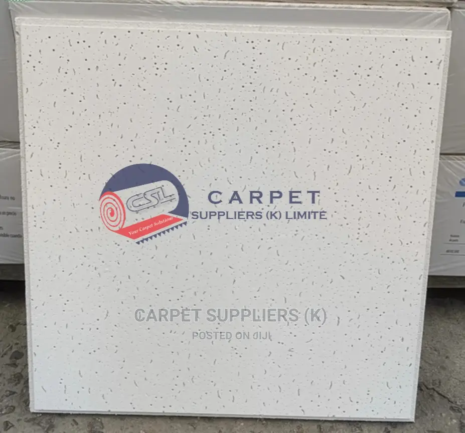 Acoustic Ceilings