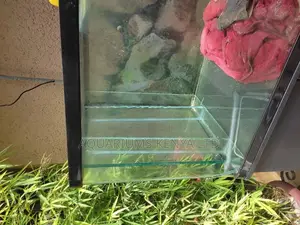 Imported Aquarium Tanks Repair Services