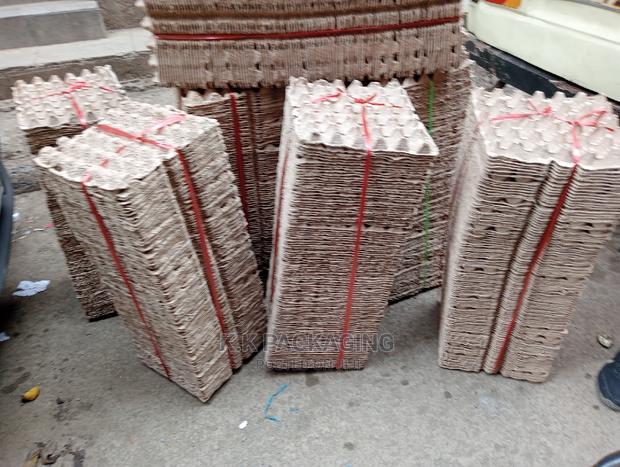 at 1500, 100pcs Egg Trays - main view