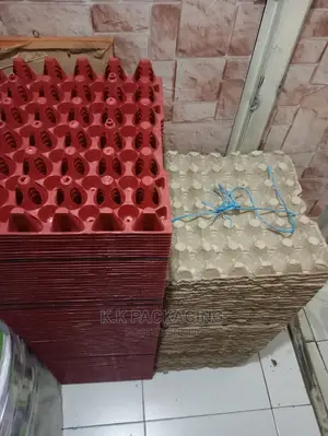 Plastic Egg Trays