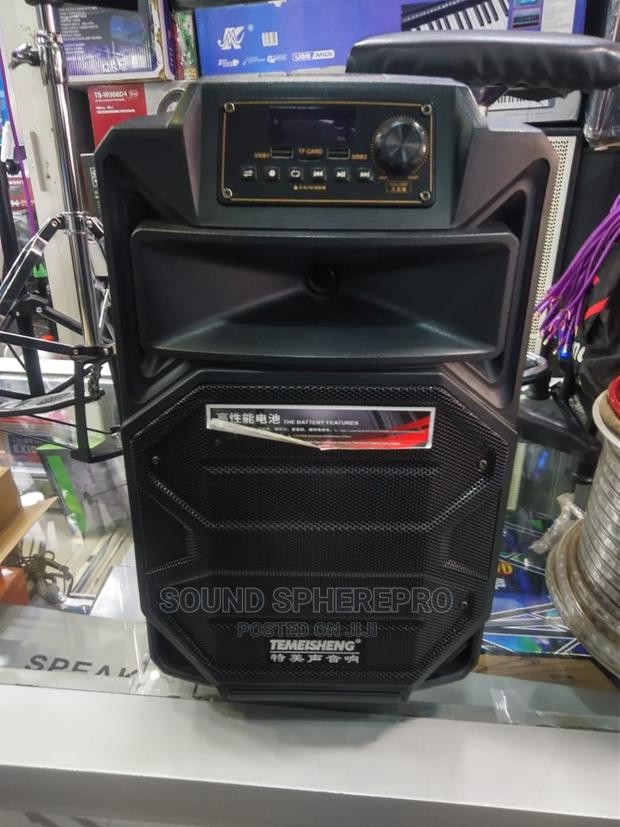 Temeisheng 10in Powered Speaker - main view