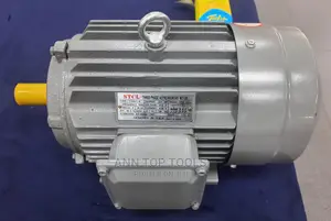 3.0hp STCL Electric Motor