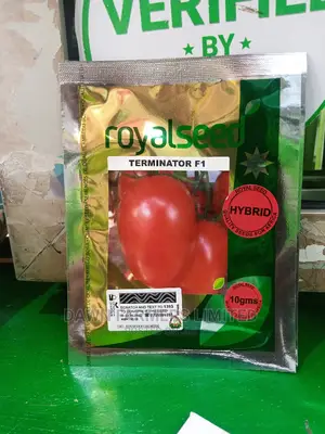 Terminator 10gms