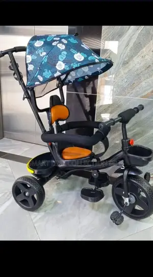 Tricycle With Canopy and Parental Control Handle