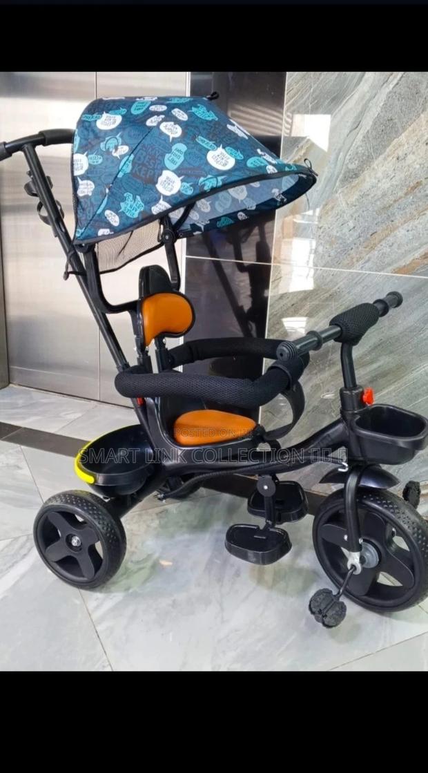 Tricycle With Canopy and Parental Control Handle