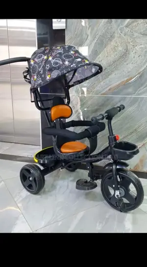 Tricycle With Canopy and Parental Control Handle