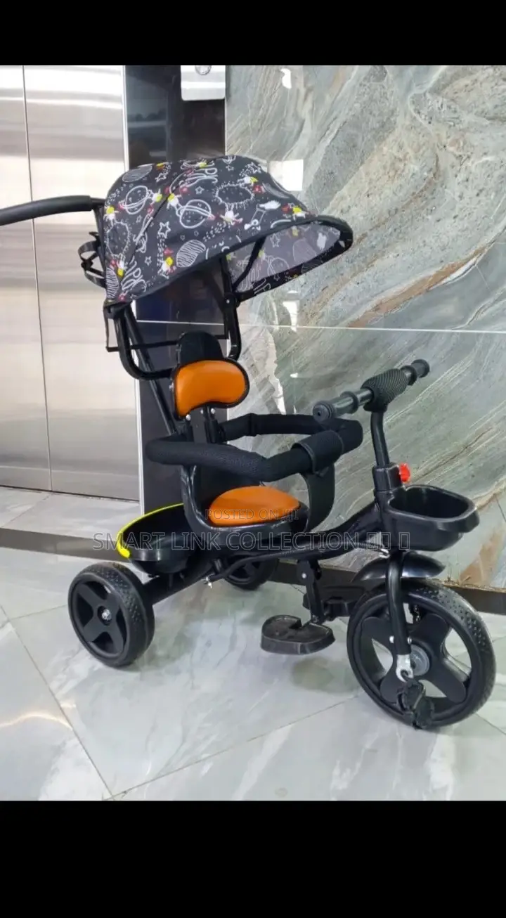 Tricycle With Canopy and Parental Control Handle