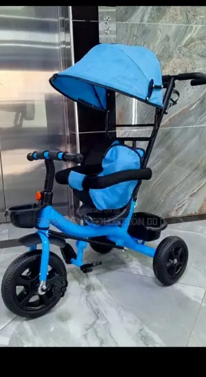 Tricycle With Canopy and Parental Control Handle