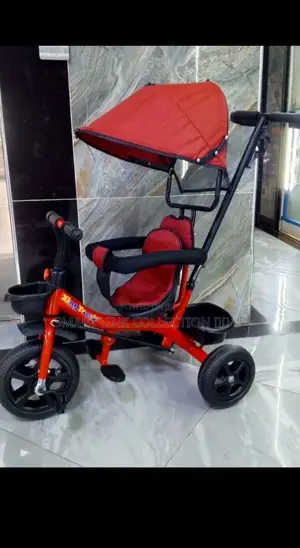 Tricycle With Canopy and Parental Control Handle