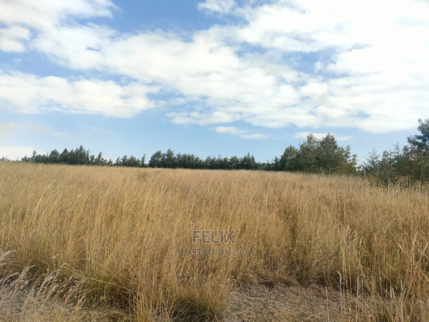3 Acres Chaka/Munyu With a River