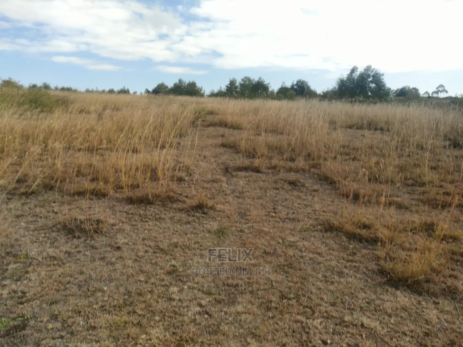 3 Acres Chaka/Munyu With a River