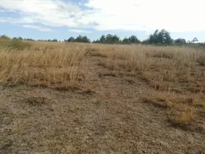 3 Acres Chaka/Munyu With a River