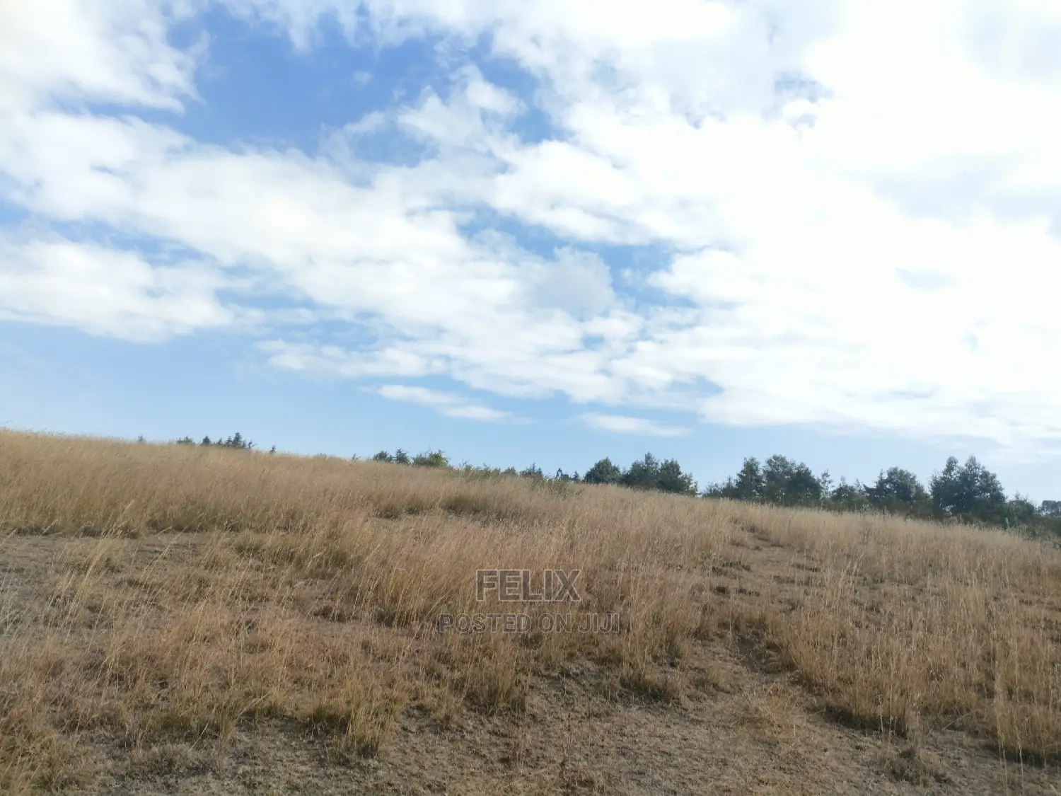 3 Acres Chaka/Munyu With a River