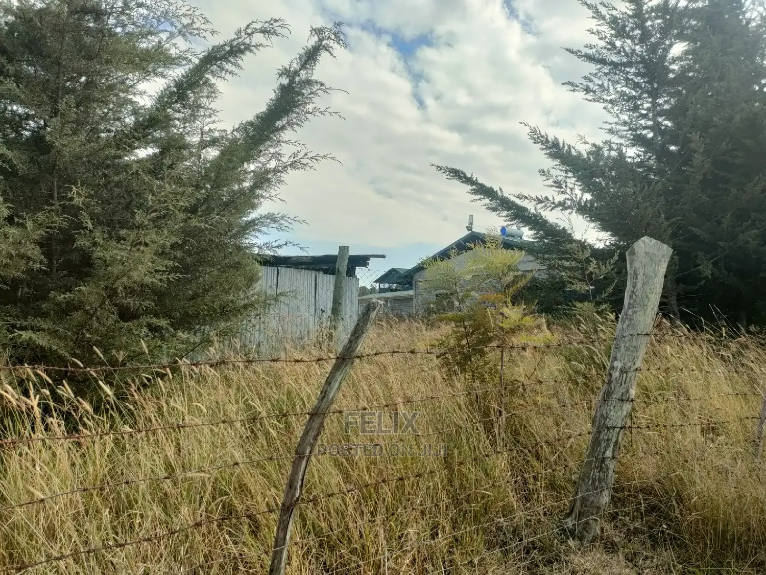 3 Acres Chaka/Munyu With a River