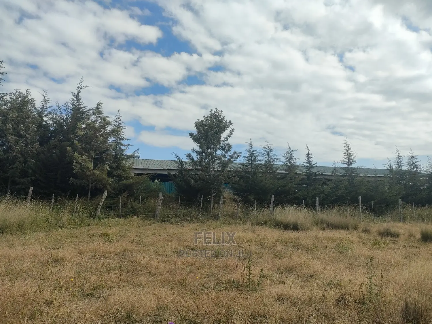 3 Acres Chaka/Munyu With a River