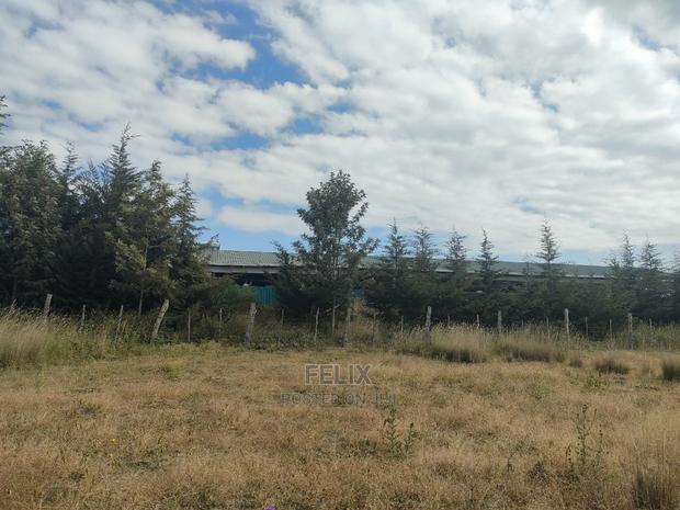 3 Acres Chaka/Munyu With a River - thumbnail 6