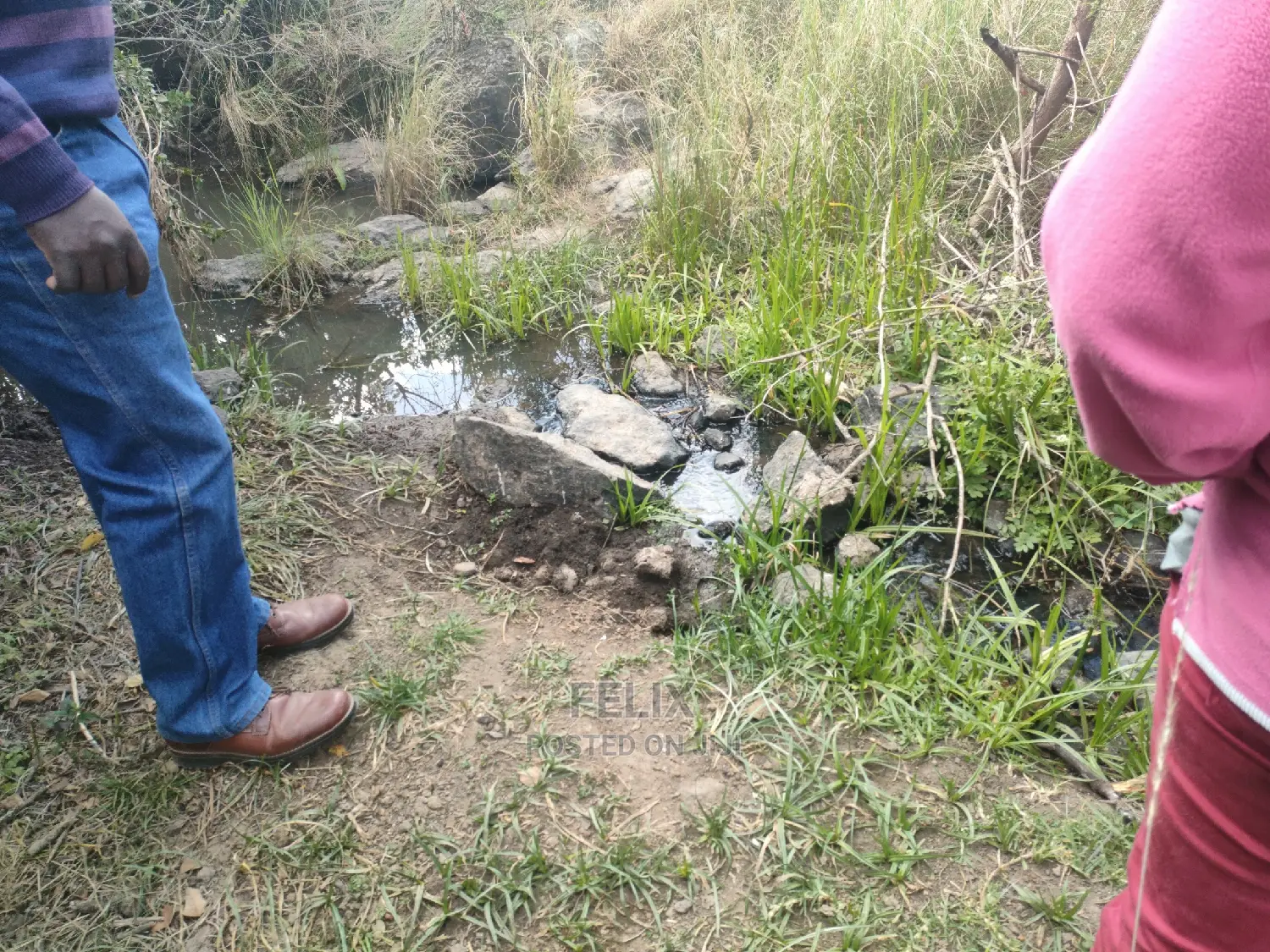 3 Acres Chaka/Munyu With a River