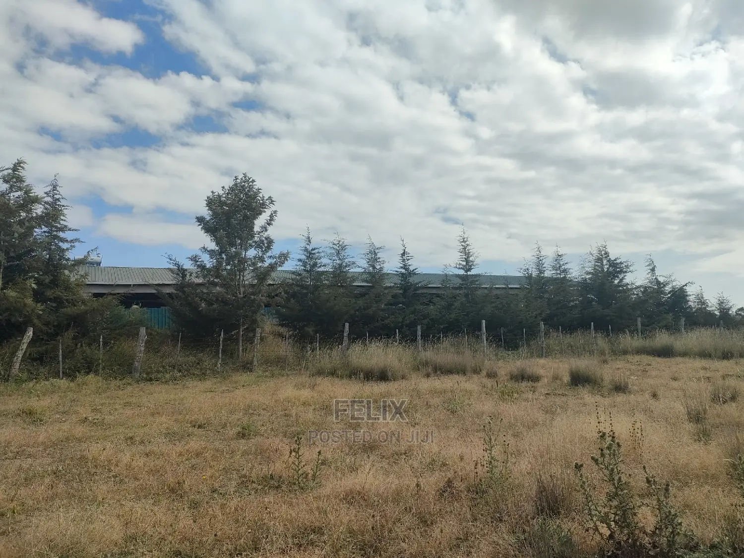 3 Acres Chaka/Munyu With a River