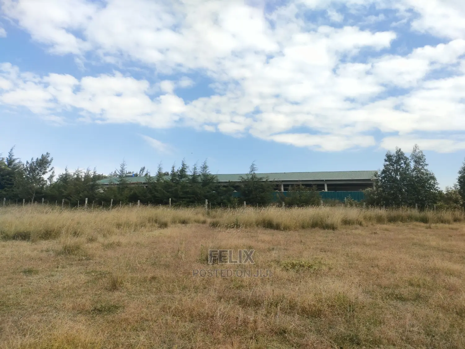 3 Acres Chaka/Munyu With a River