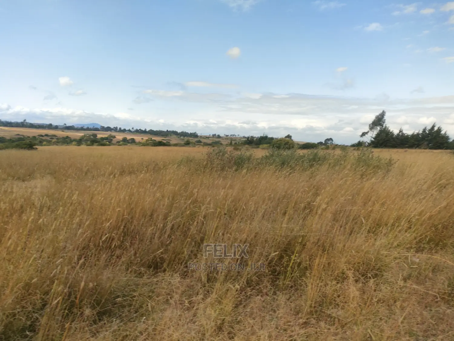 3 Acres Chaka/Munyu With a River
