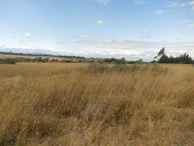 3 Acres Chaka/Munyu With a River - thumbnail 11