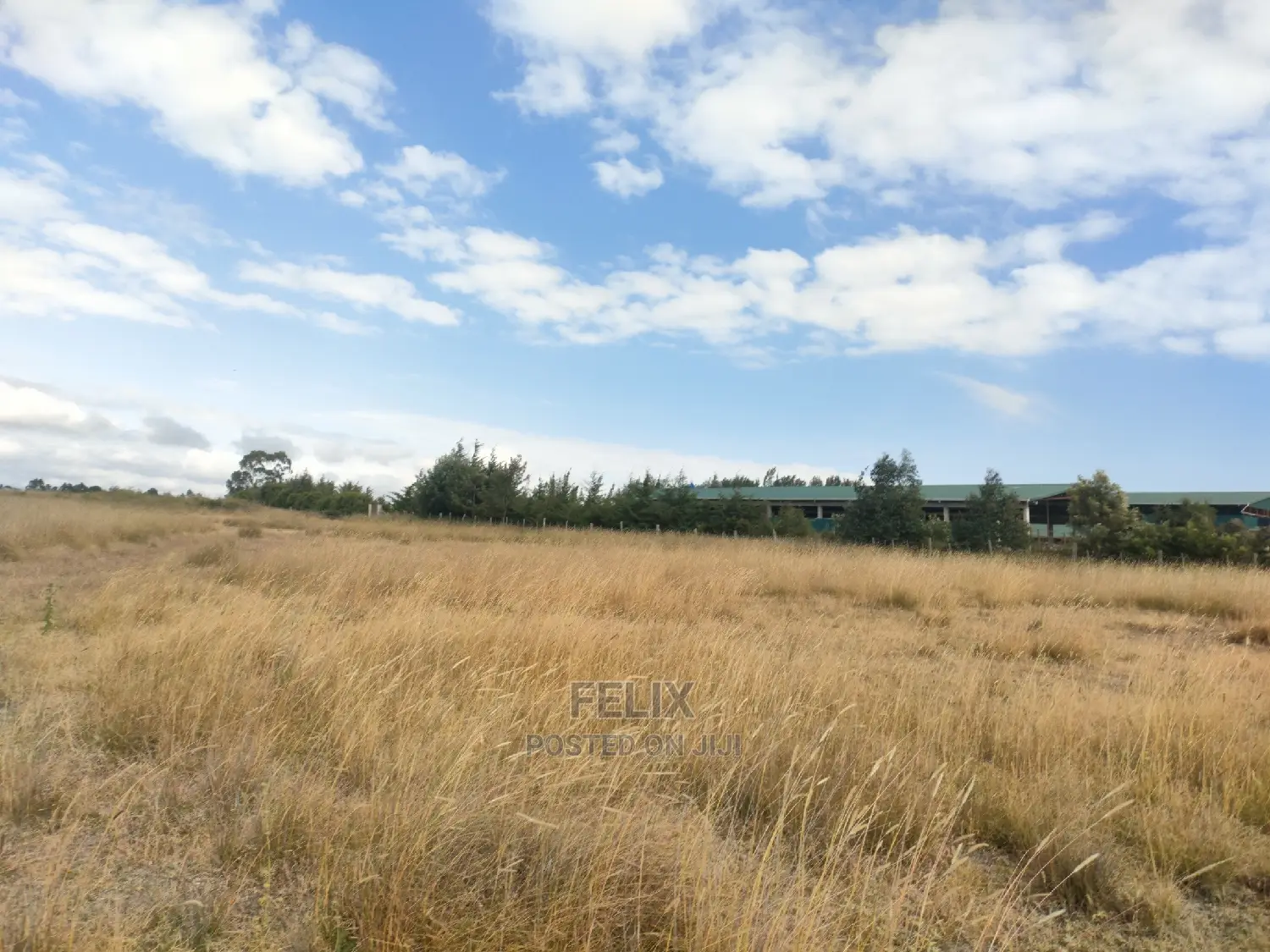 3 Acres Chaka/Munyu With a River