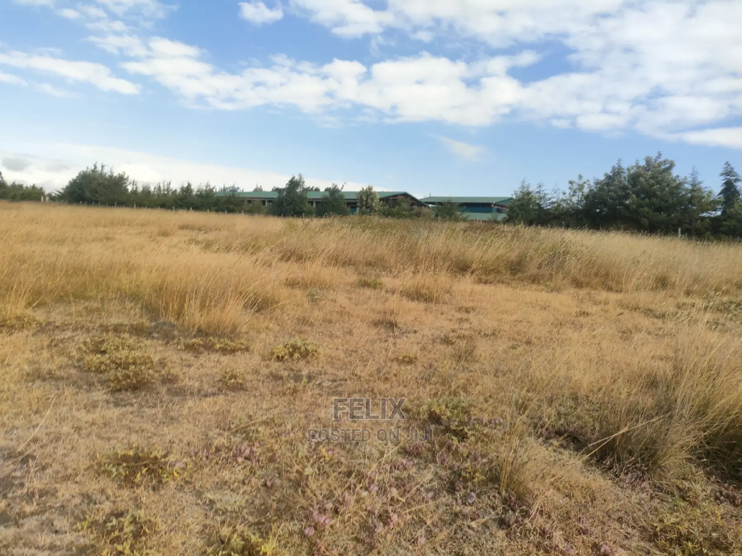 3 Acres Chaka/Munyu With a River