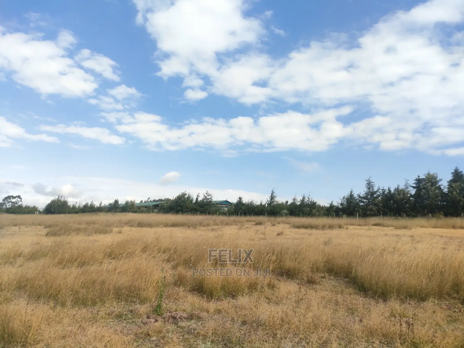 3 Acres Chaka/Munyu With a River