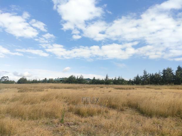 3 Acres Chaka/Munyu With a River - thumbnail 14