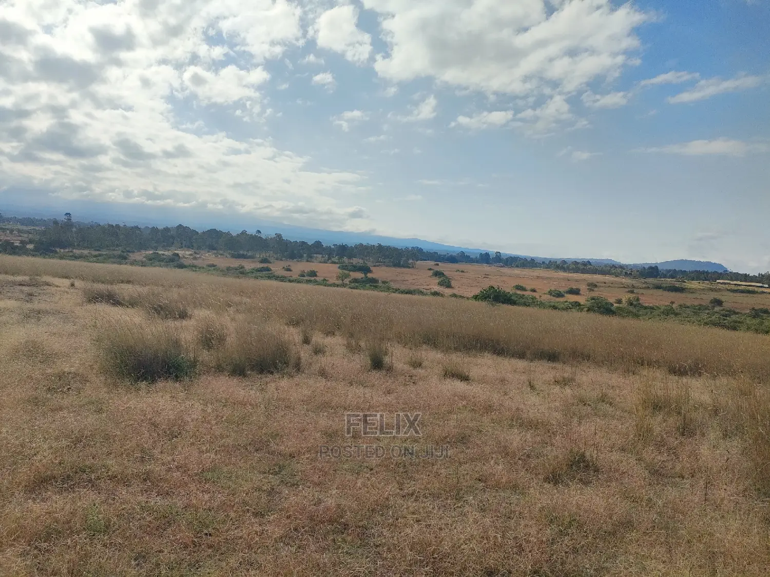3 Acres Chaka/Munyu With a River