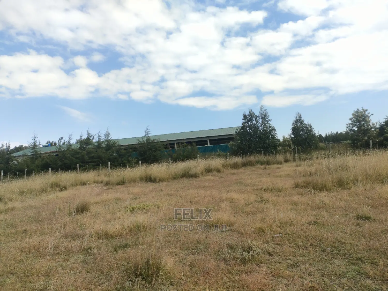 3 Acres Chaka/Munyu With a River