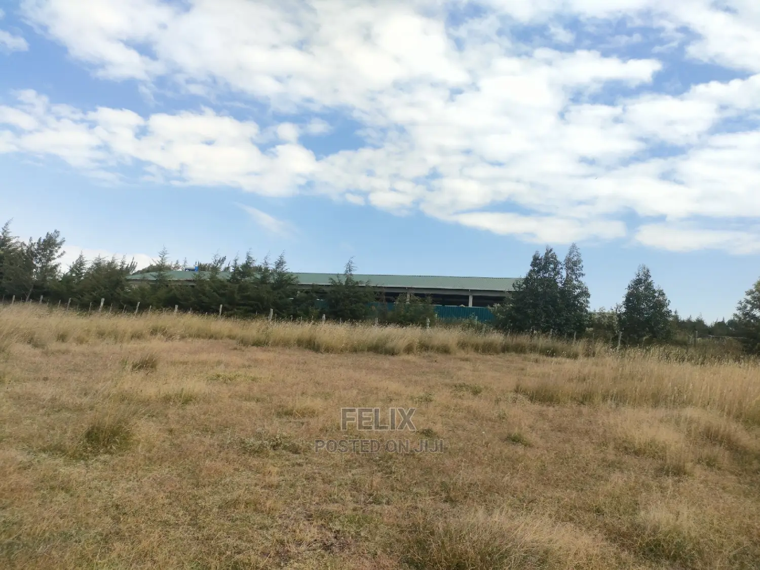 3 Acres Chaka/Munyu With a River