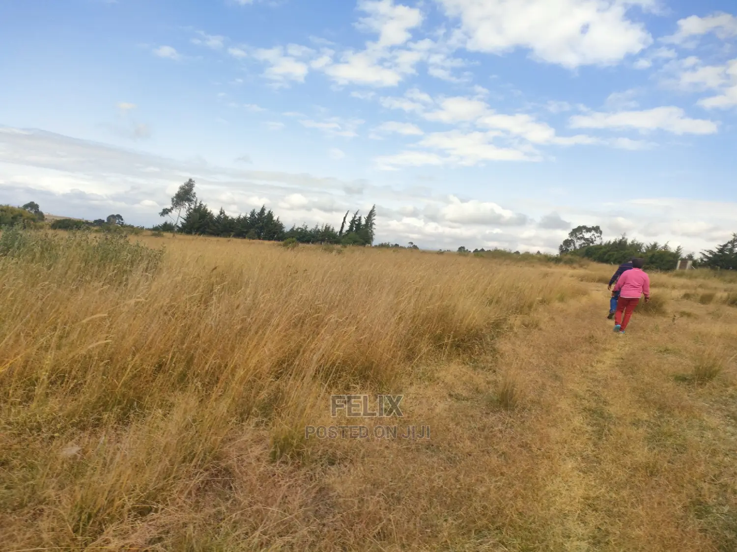 3 Acres Chaka/Munyu With a River