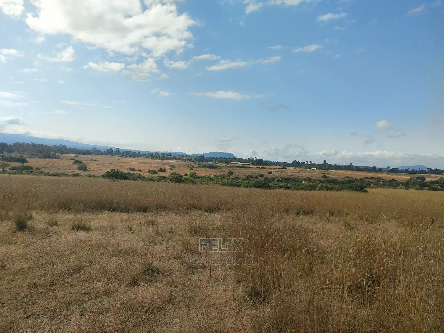 3 Acres Chaka/Munyu With a River
