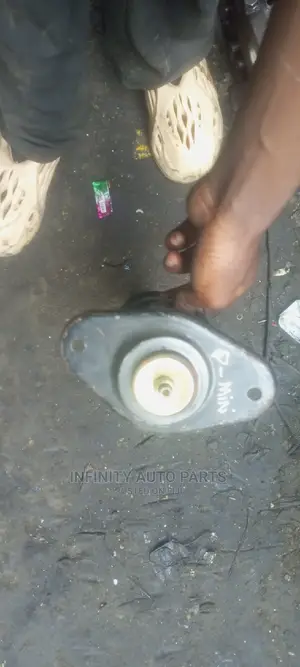 Mini Cooper Rear Complete Shocks