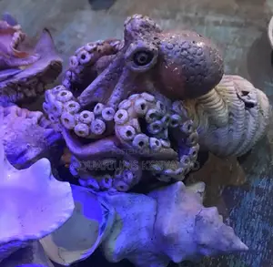 Clay Art of an Octopus Fish
