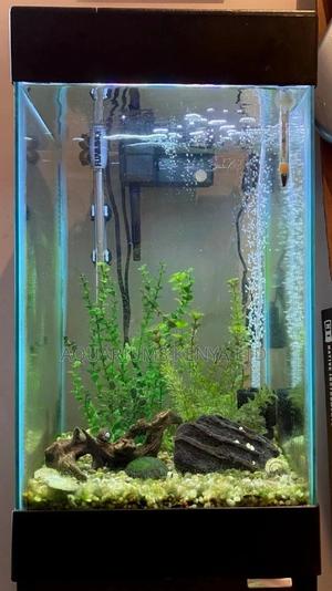 Small Fish Aquarium - thumbnail 2