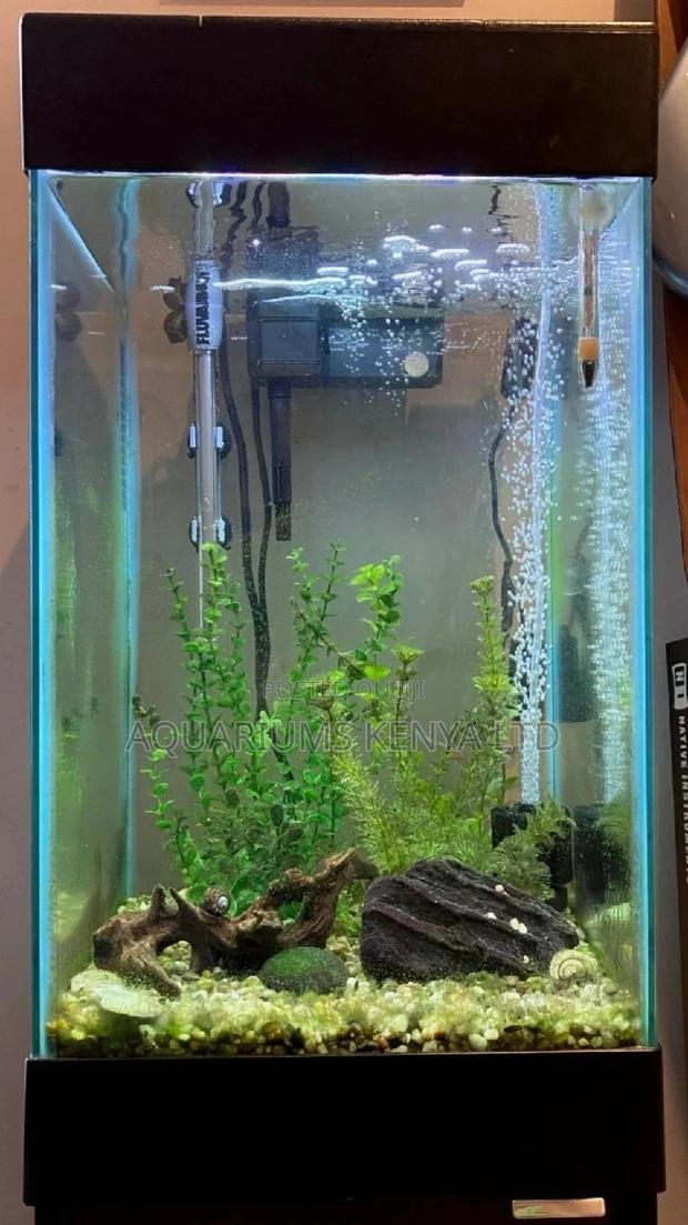 Small Fish Aquarium - main view