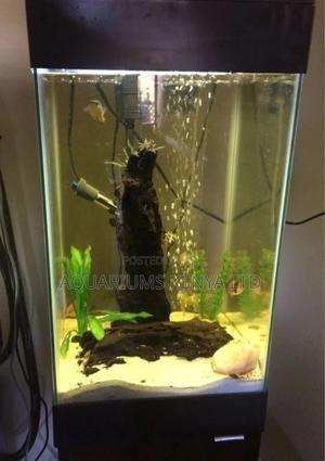 Mini Fish Aquarium - thumbnail 2